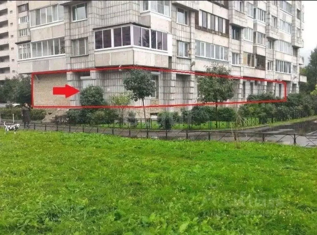 Помещение свободного назначения в Санкт-Петербург ул. ... - Фото 1