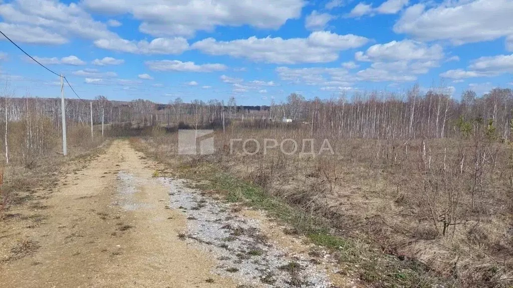 Участок в Новосибирская область, Новосибирский район, Каменский ... - Фото 1