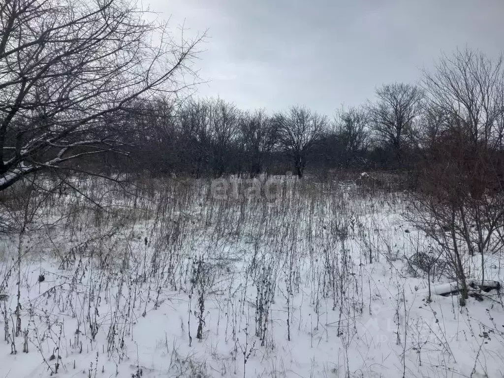 Участок в Белгородская область, Губкин Журавушка СТ,  (6.0 сот.) - Фото 0