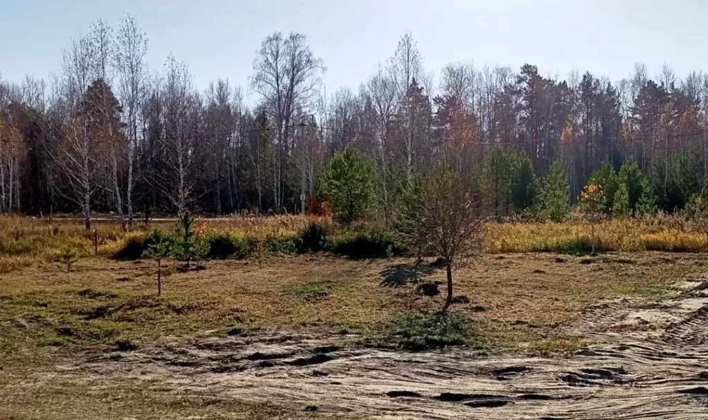 Участок в Тюменская область, Тюмень Березняки СНТ,  (6.57 сот.) - Фото 1