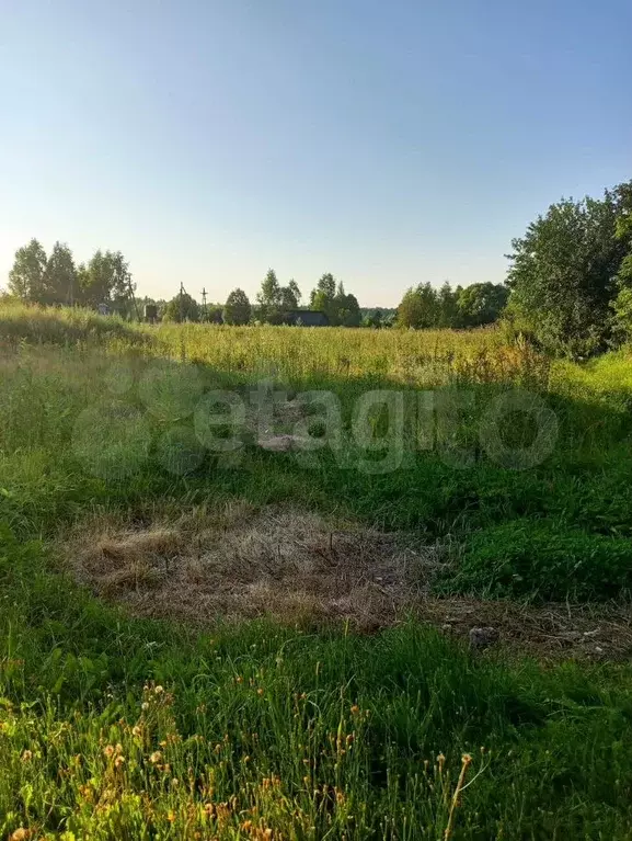 Дом 58 м на участке 10 сот. - Фото 1