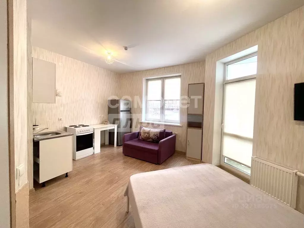 Студия Пермский край, Пермь Бершетский пер., 3 (27.0 м) - Фото 2