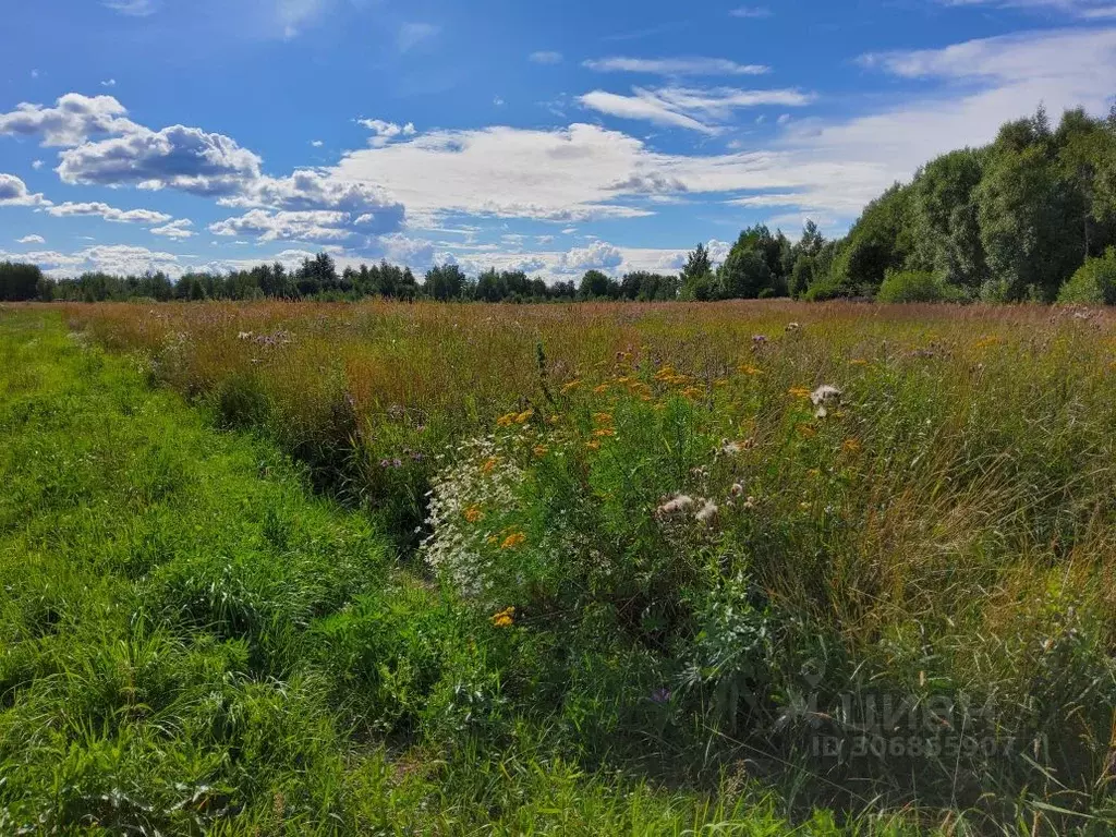 Участок в Ленинградская область, Тосненский район, Федоровское ... - Фото 0