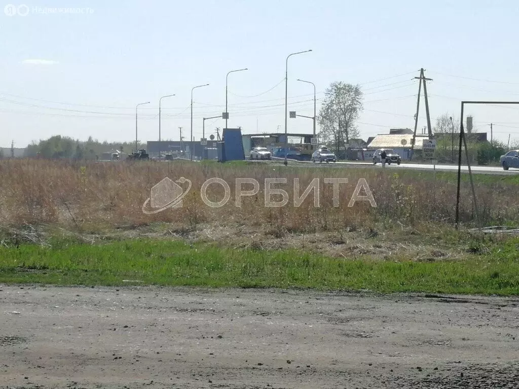 Участок в Тюменский муниципальный округ, ТСН Серебряный Бор, ... - Фото 1