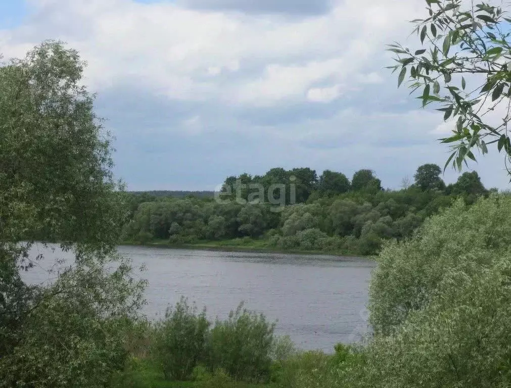 Участок в Московская область, Серпухов городской округ, д. Большое ... - Фото 1