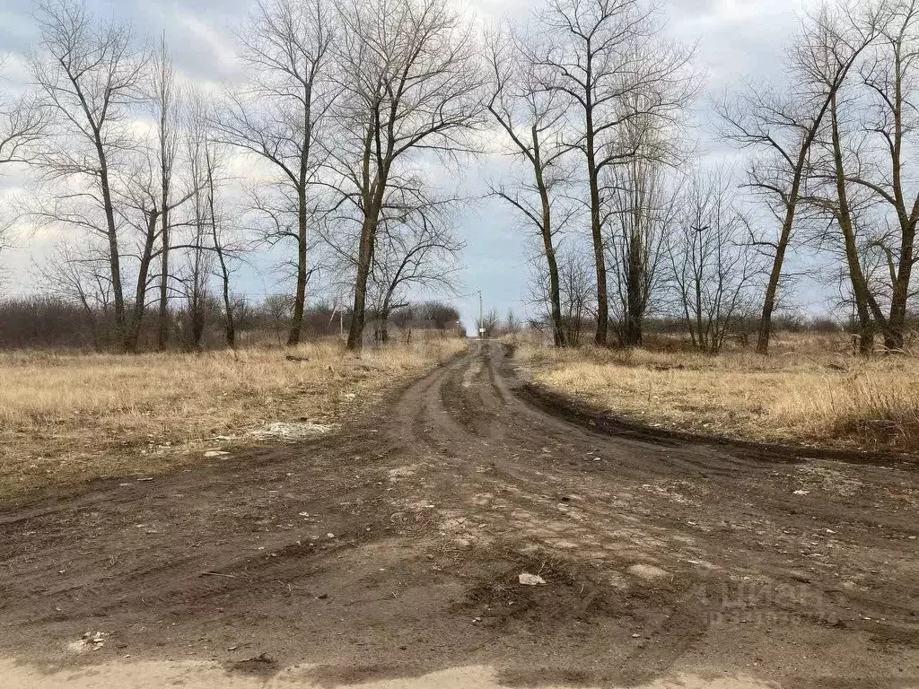 Участок в Белгородская область, Корочанский муниципальный округ, ... - Фото 1