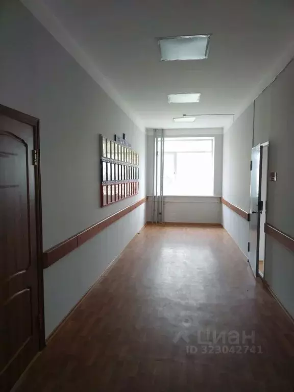 Помещение свободного назначения в Бурятия, Закаменск ул. Ленина, 23 ... - Фото 2