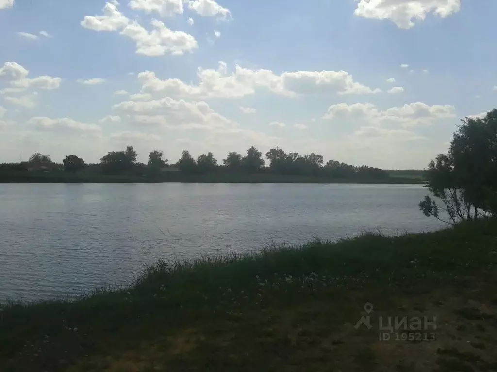 Участок в Рязанская область, Милославское рп ул. Милославская, 20 ... - Фото 1