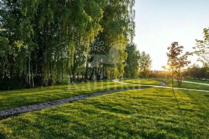 Участок, 24.4 сот., поселения (ижс) - Фото 1