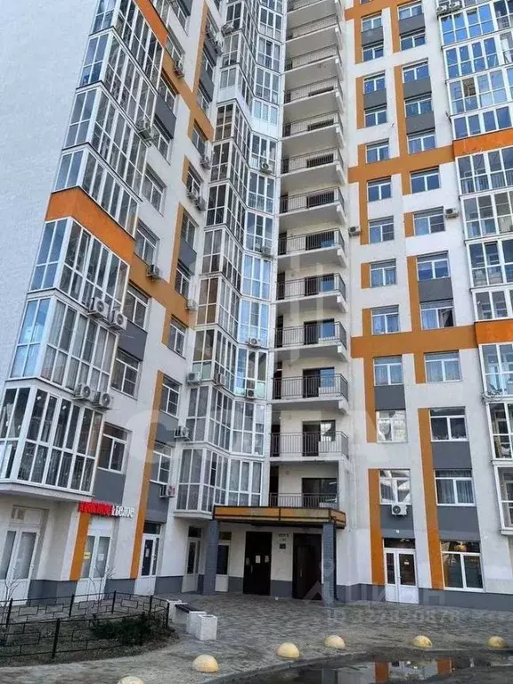 2-к кв. Воронежская область, Воронеж ул. Ломоносова, 80 (58.0 м) - Фото 1