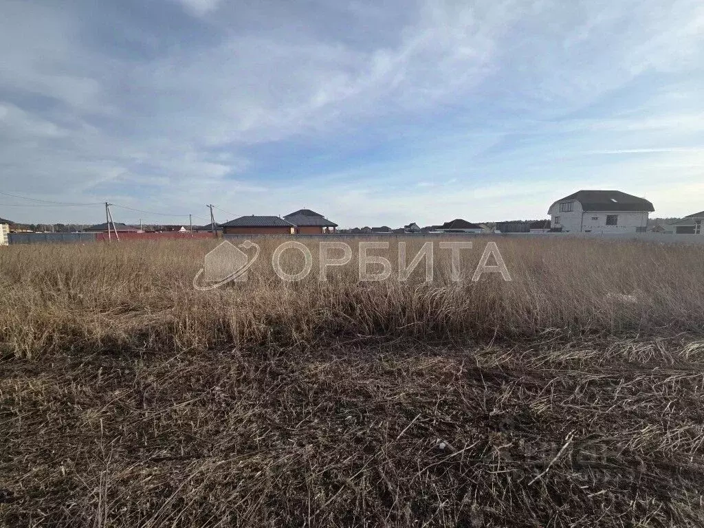Участок в Тюменская область, Тюменский муниципальный округ, д. Ушакова ... - Фото 2