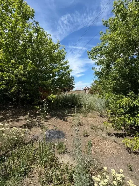 Дом в Ростовская область, Новочеркасск ул. Нечаева, 28 (65 м) - Фото 1