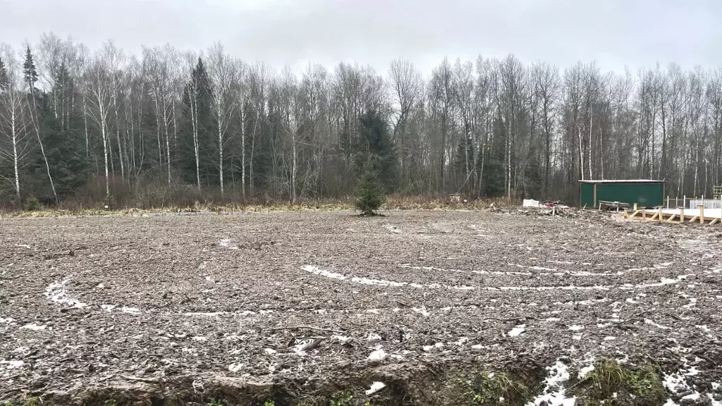 Участок в Московская область, Дмитровский муниципальный округ, Икша ... - Фото 1