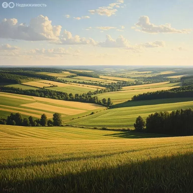 Участок в Пермский край, Ильинский муниципальный округ, Сретенский ... - Фото 2