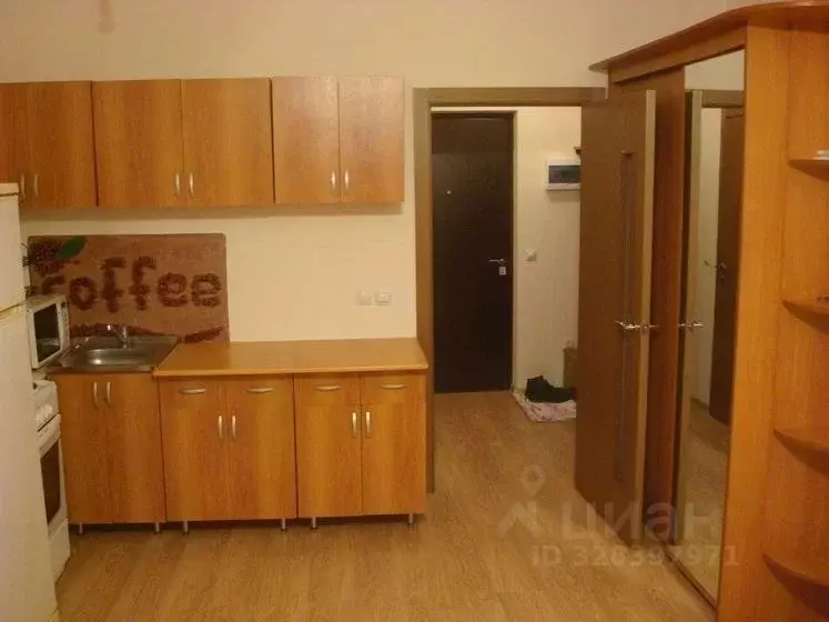 Студия Ленинградская область, Мурино Всеволожский район, аллея ... - Фото 2