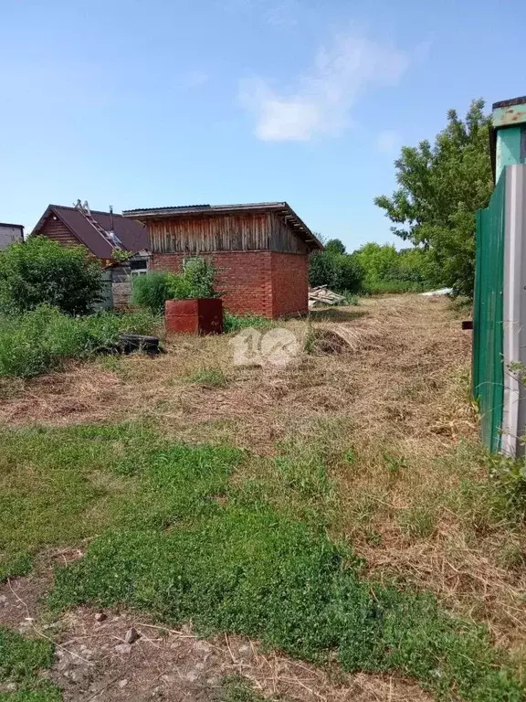 Участок в Новосибирская область, Бердск Бытовик садовое товарищество, ... - Фото 2