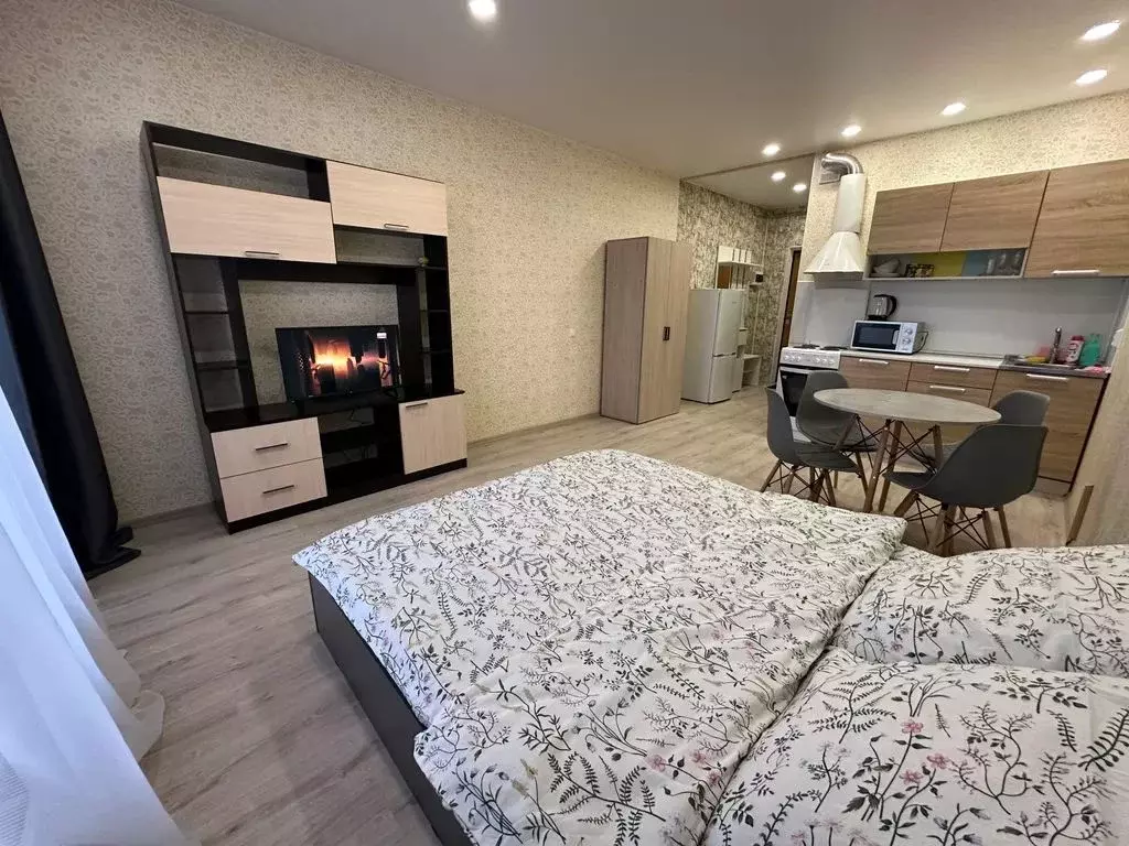 Студия Новгородская область, Великий Новгород ул. Щусева, 11к2 (28.0 ... - Фото 1