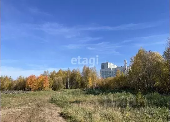 Помещение свободного назначения в Пермский край, Пермь Вышка II мкр,  ... - Фото 2