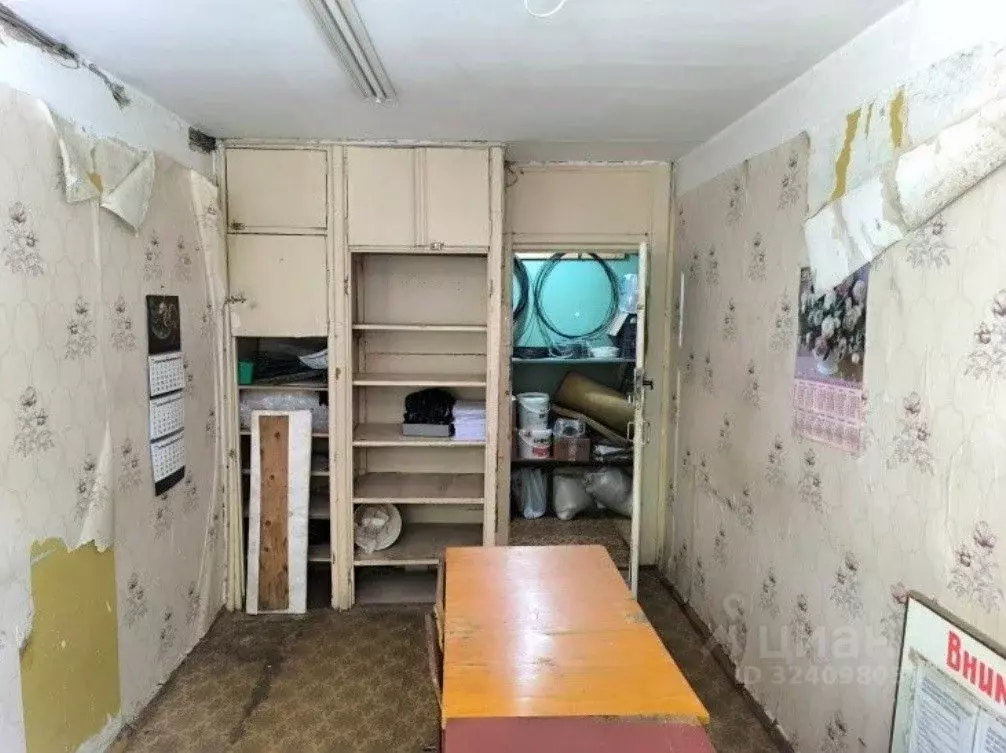 Помещение свободного назначения в Приморский край, Владивосток просп. ... - Фото 2