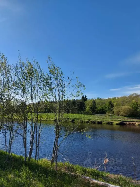 Участок в Тверская область, Кашинский городской округ, д. Верхняя ... - Фото 0