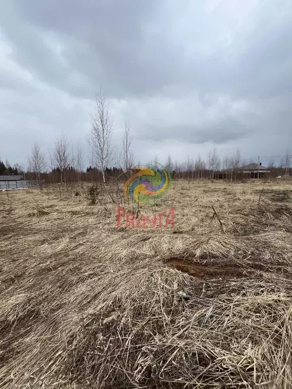 Участок в Ивановская область, Шуйский район, с. Китово ул. Спортивная ... - Фото 1