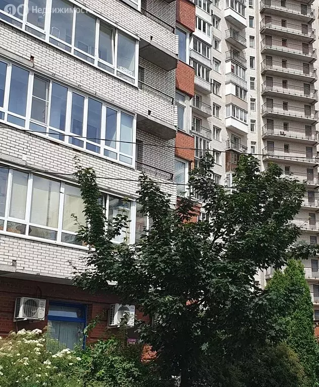 2-комнатная квартира: Санкт-Петербург, проспект Наставников, 19 (71 м) - Фото 2