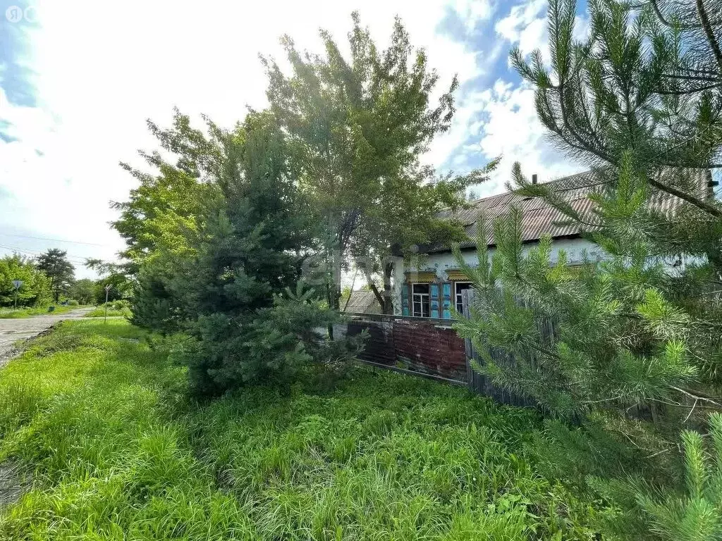 Дом в Вяземский, улица Пушкина, 4А (29.9 м) - Фото 1