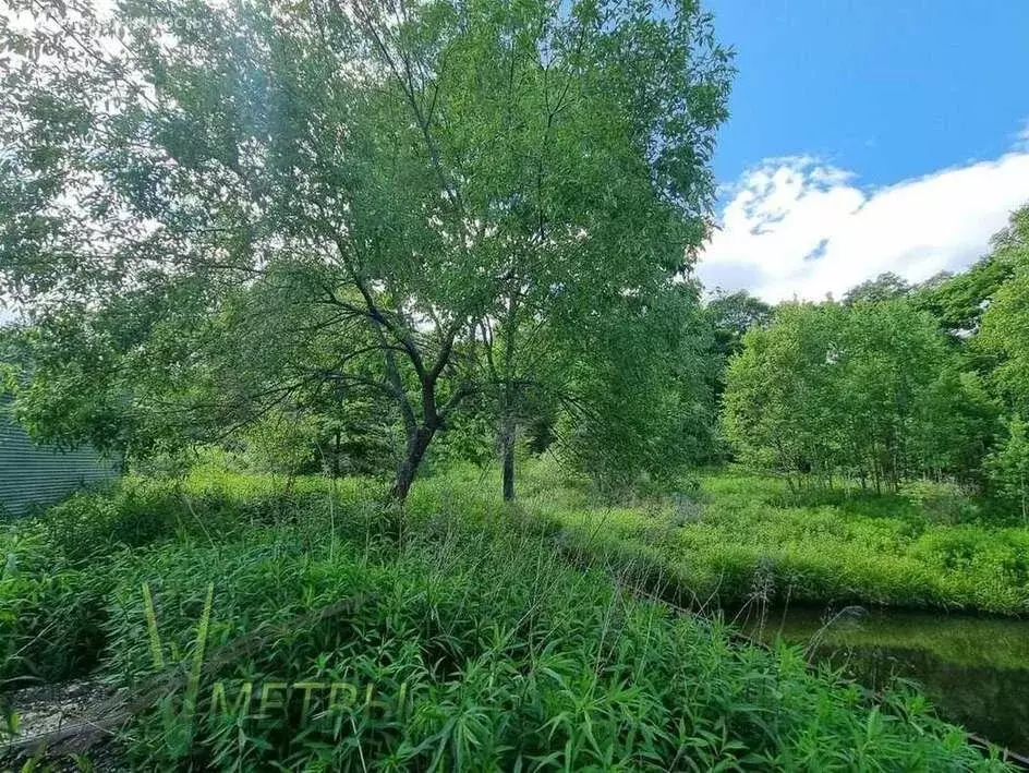 Участок в Надеждинский район, СНТ Ивушка (10 м) - Фото 0