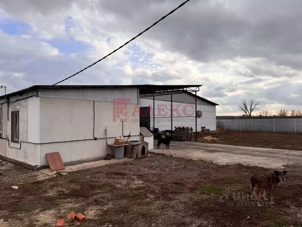 Производственное помещение в Ростовская область, Октябрьский район, ... - Фото 2