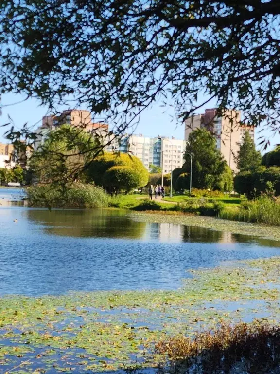 3-к кв. Санкт-Петербург ул. Демьяна Бедного, 16к1 (65.7 м) - Фото 1