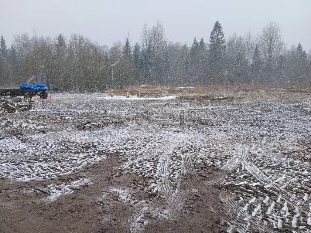 Участок в Ленинградская область, Волховский район, Бережковское с/пос, ... - Фото 2