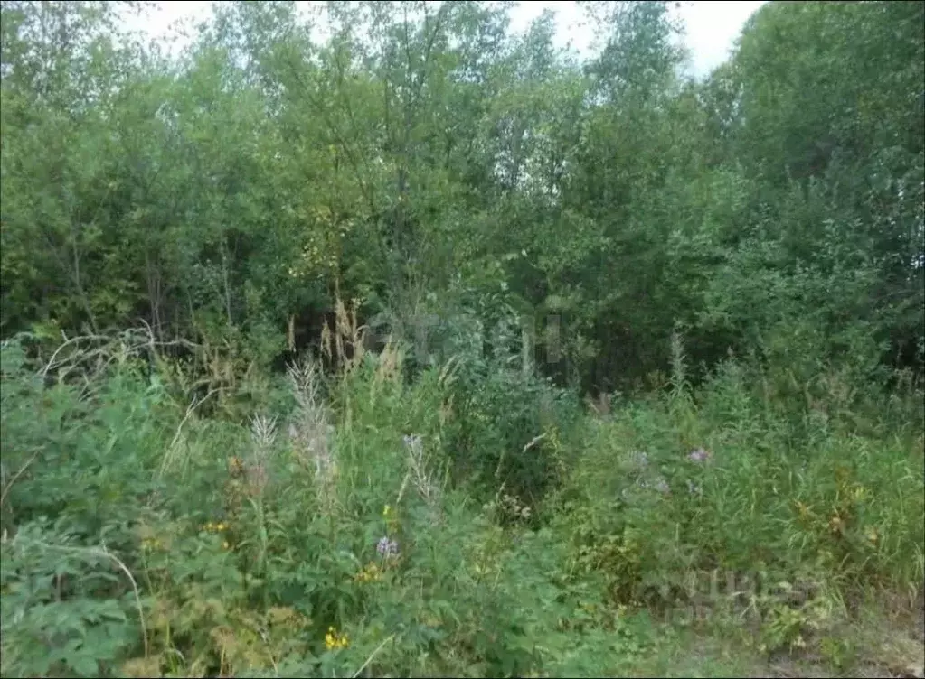 Участок в Калужская область, Калуга городской округ, д. Лихун ул. 1-я ... - Фото 2