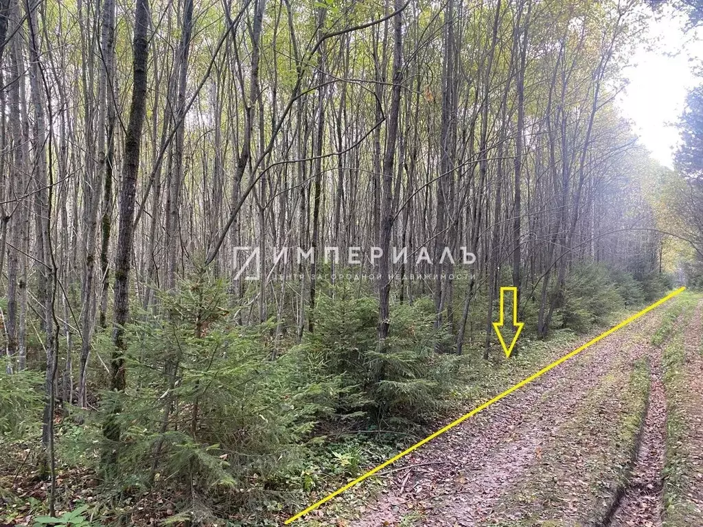 Участок в Калужская область, Жуковский муниципальный округ, Высокиничи ... - Фото 1