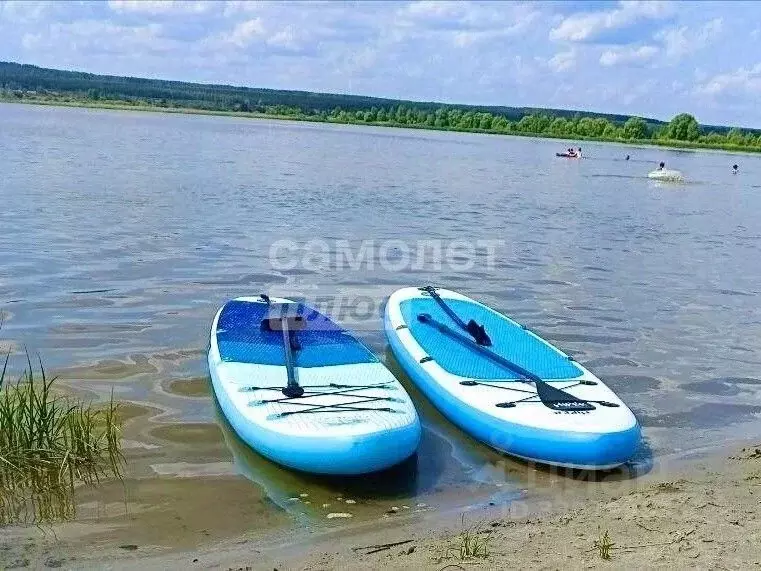 Участок в Ульяновская область, Майнский район, Игнатовское городское ... - Фото 1