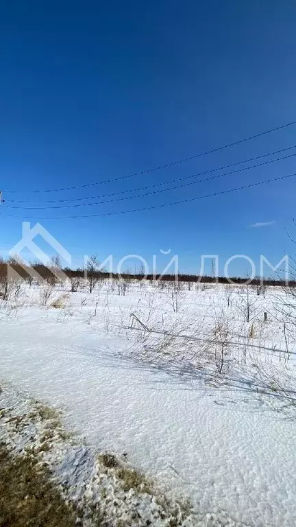 Участок в Сахалинская область, Анивский городской округ, с. Таранай  ... - Фото 0