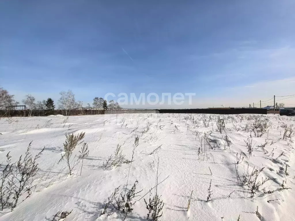 Участок в Иркутская область, Иркутск ул. 1-я Дачная (12.0 сот.) - Фото 1