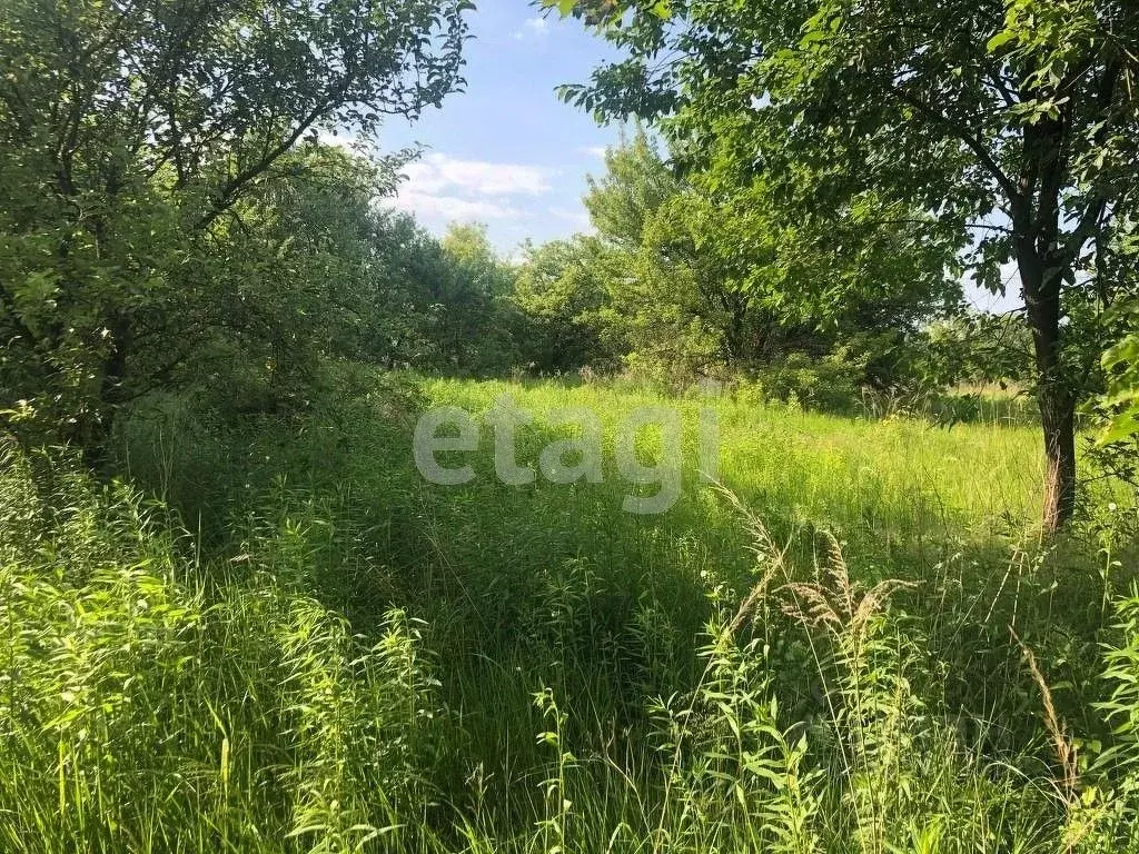 Участок в Брянская область, Брянский район, Снежское с/пос, с. ... - Фото 0