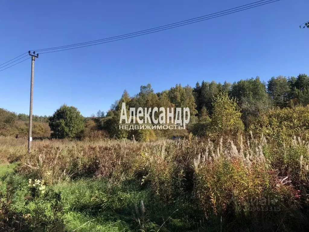 Участок в Ленинградская область, Приозерский район, Кузнечнинское ... - Фото 1