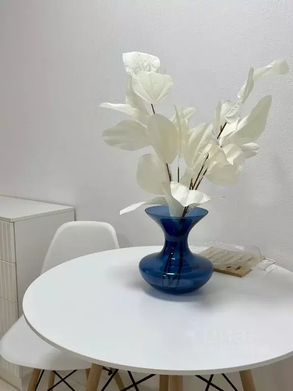Студия Санкт-Петербург Полюстровский просп., 75 (25.0 м) - Фото 1