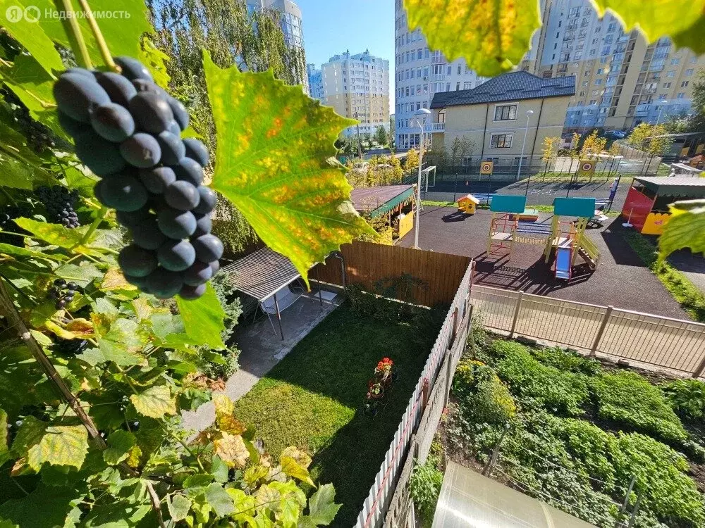 Участок в Калининград, Орудийная улица, 32 (13 м) - Фото 0