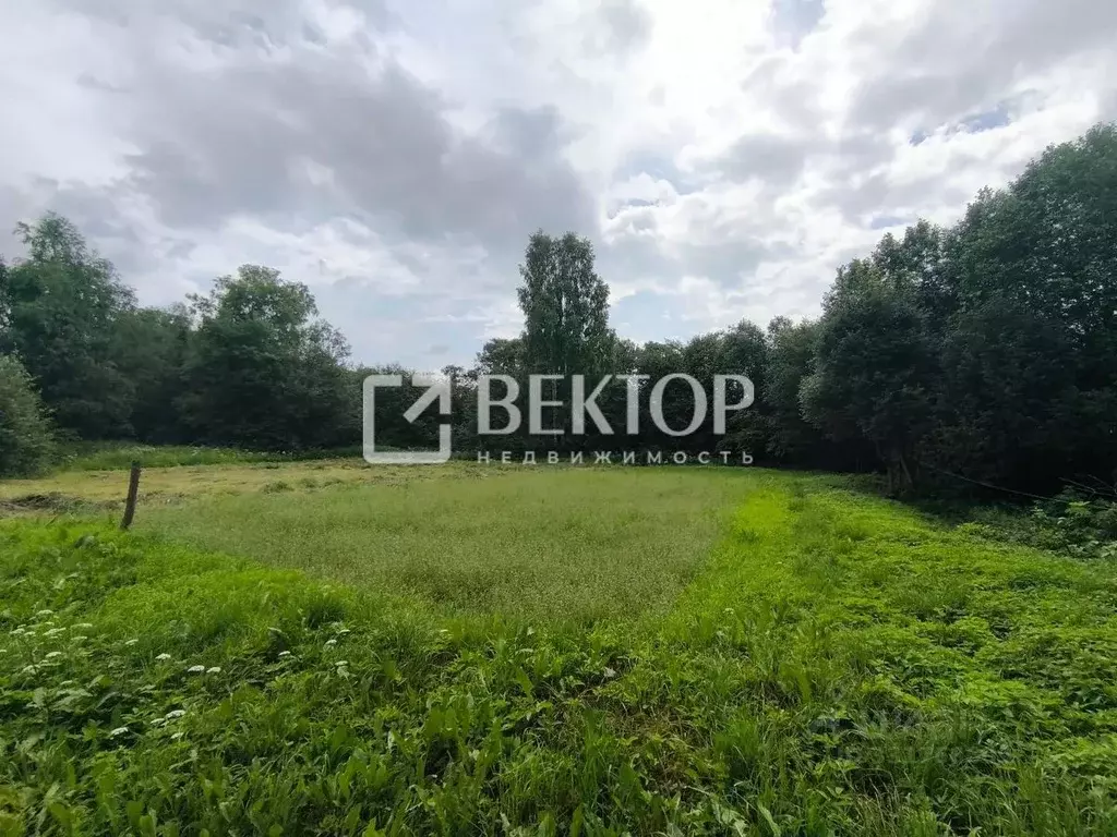 Участок в Костромская область, Костромской район, с. Сущево Советская ... - Фото 1