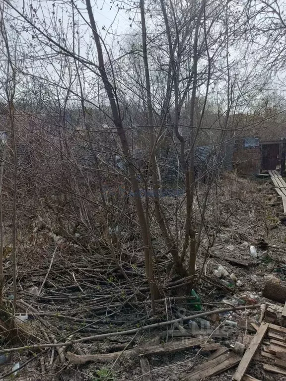Участок в Нижегородская область, Нижний Новгород Родник садоводческое ... - Фото 0
