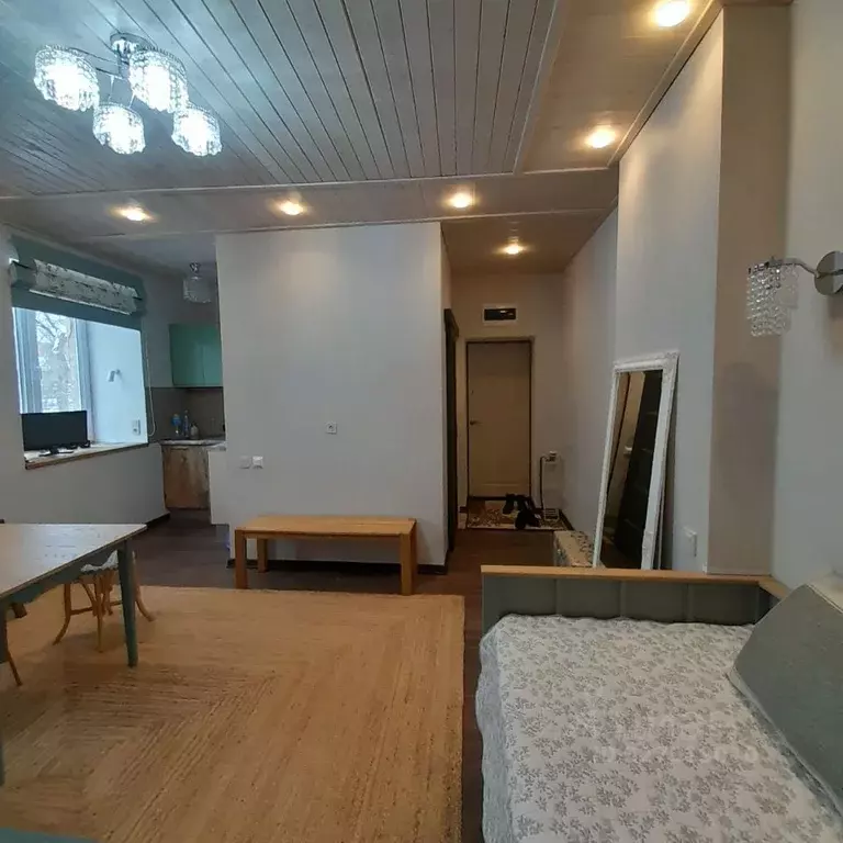 Студия Воронежская область, Воронеж Театральная ул., 34 (26.0 м) - Фото 2