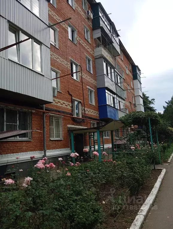 3-к кв. Адыгея, Майкоп ул. Димитрова, 11/2 (49.1 м) - Фото 0