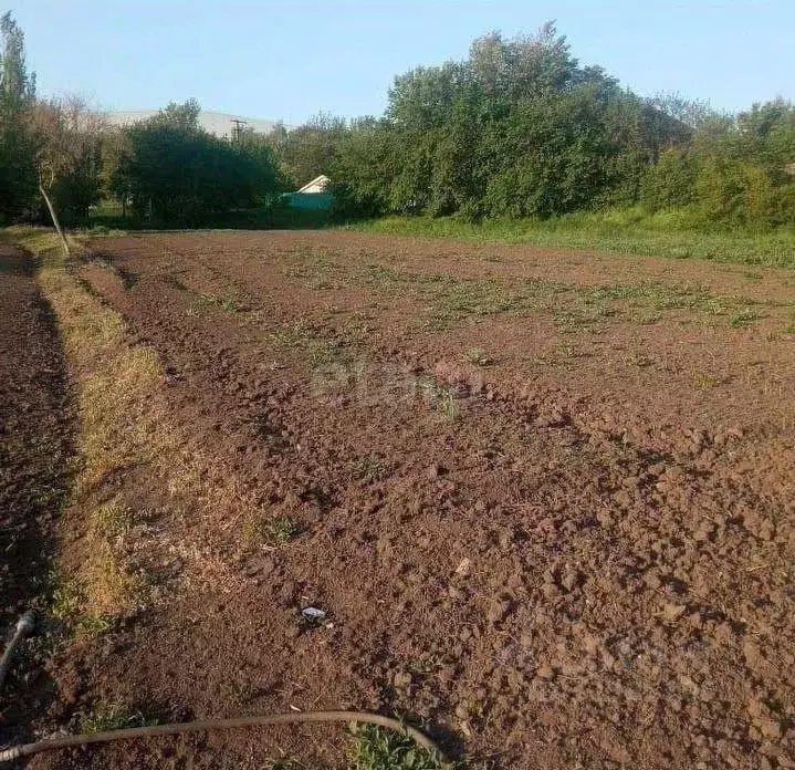 Участок в Ростовская область, Аксайский район, Грушевская ст-ца ... - Фото 2