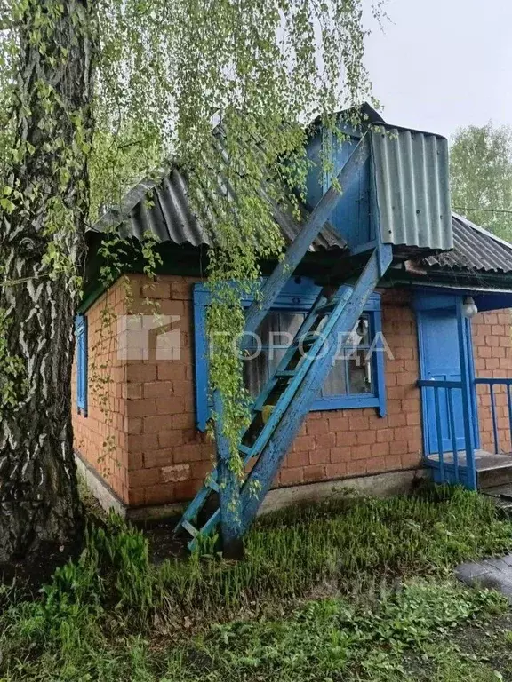 Участок в Новосибирская область, Искитимский район, Чернореченский ... - Фото 0