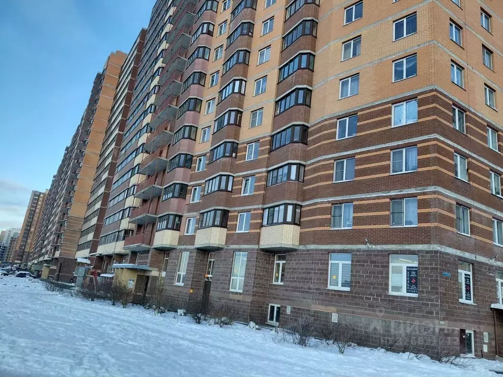 Студия Ленинградская область, Мурино Всеволожский район, бул. ... - Фото 1