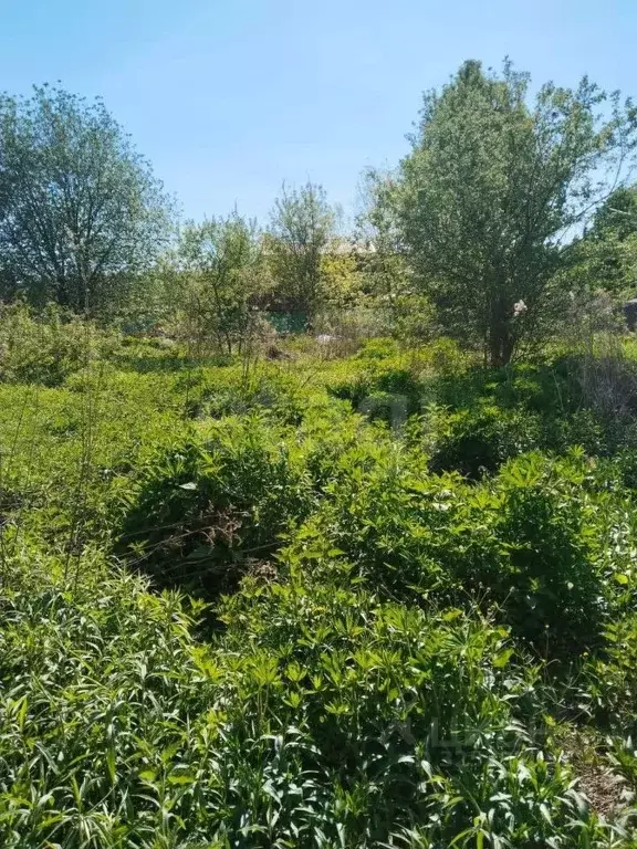 Участок в Московская область, Одинцовский городской округ, ... - Фото 2