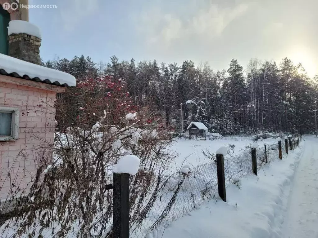 Дом в Нетьинское сельское поселение, СДТ Весна (25 м) - Фото 2