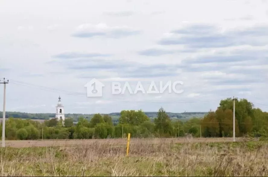 Участок в Владимирская область, Собинский муниципальный округ, с. ... - Фото 1